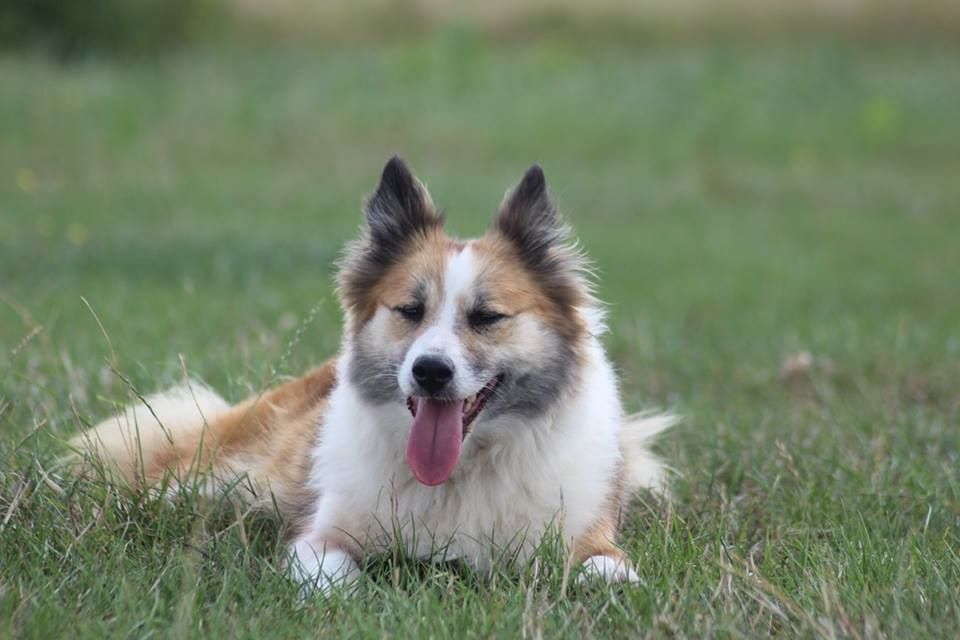 Iouna Du Camp Raquet