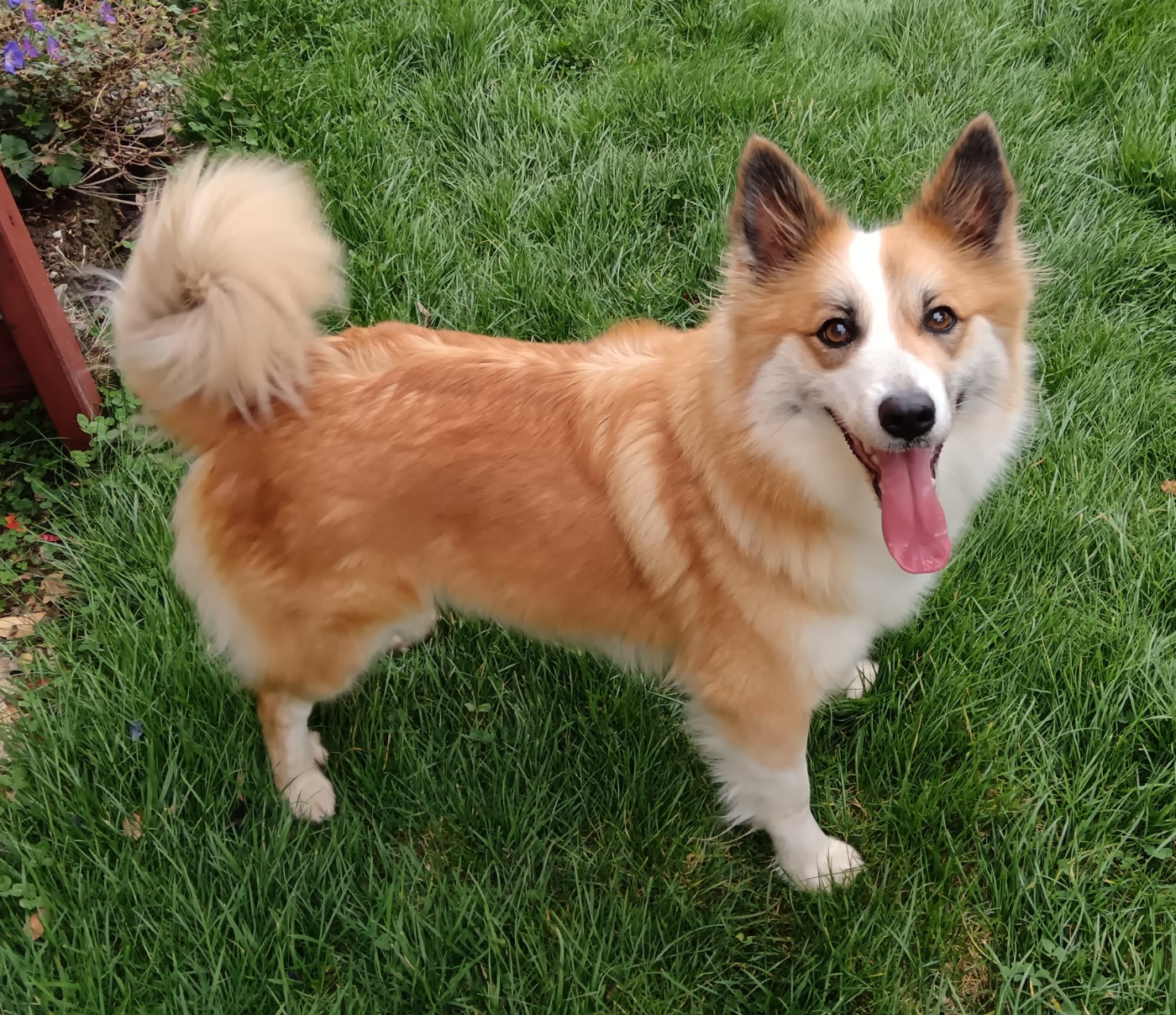 Talia Du Camp Raquet