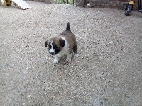 Roxy